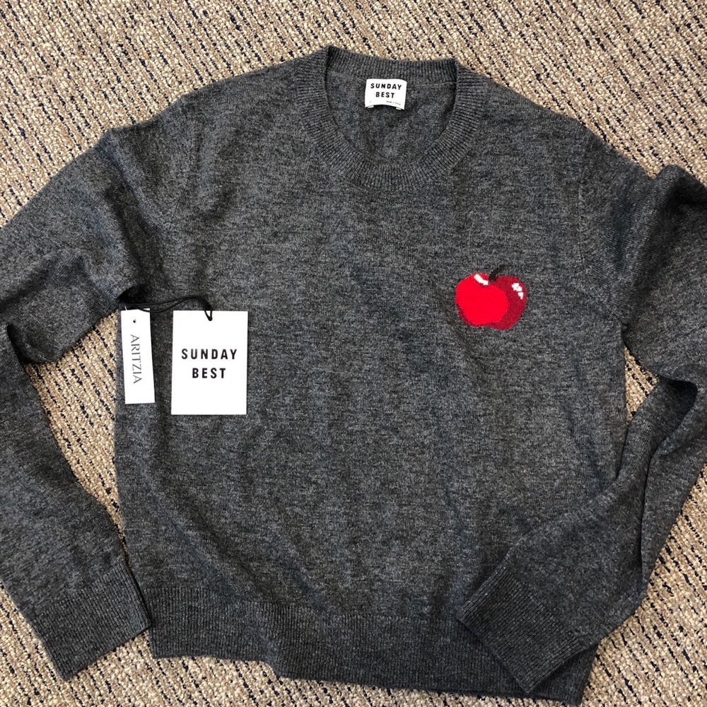 Charcoal crew neck sweater with apple from Aritzia